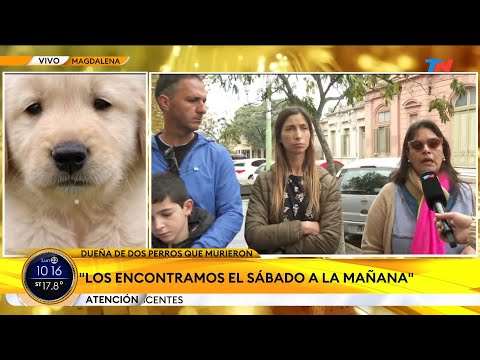 Video: Envenenamiento Nocturno En Perros