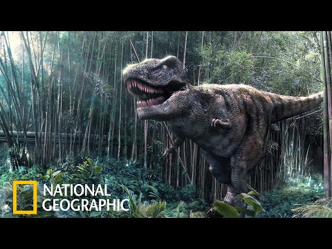Обложка из Доисторические обитатели Динозавры Документальный Фильм National Geographic 2021 FULL HD