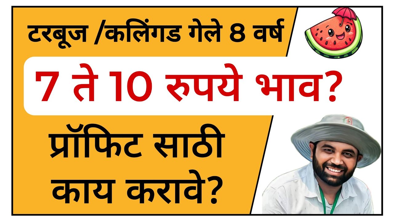 टरबूज /कलिंगड गेले 8 वर्ष 7 ते 10 रुपये दर? जास्त प्रॉफिट साठी काय करावे? #टरबूज #tarbuj #कलिंगड 