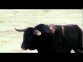 Psicosis - Torero