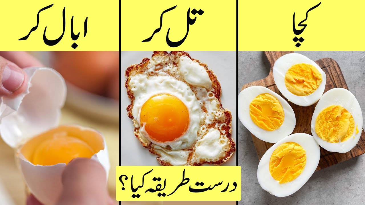 Anda khane ka sahi tarika | Anda kaise khana chahiye full or half boiled ya fried