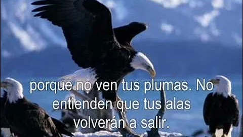 Vuela Águila. Tercer Cielo