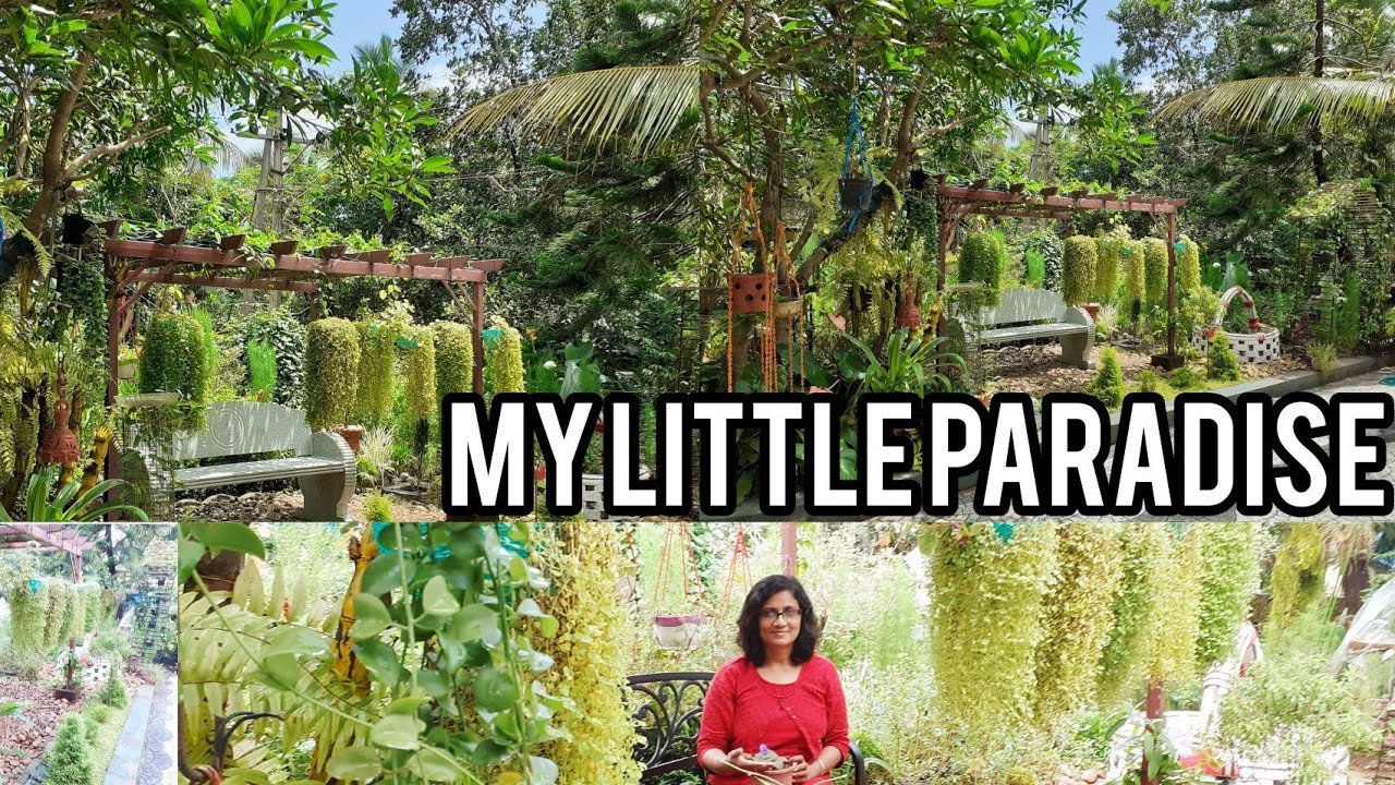 My little paradise - YouTube