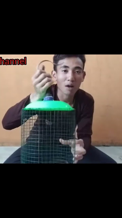 tutorial membuat sangkar burung dari ram kawat dan piring plastik