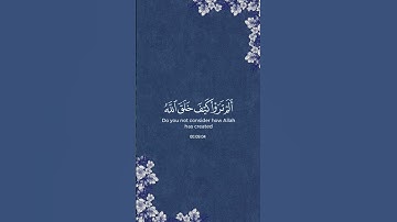 (مالكم لا ترجون لله وقاراً) القارئ: ياسر الدوسري