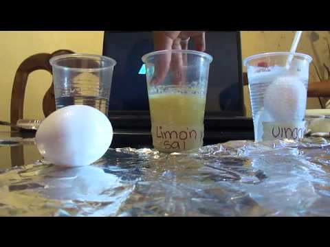 proyecto ciencias quimica youtube proyecto de ciencias