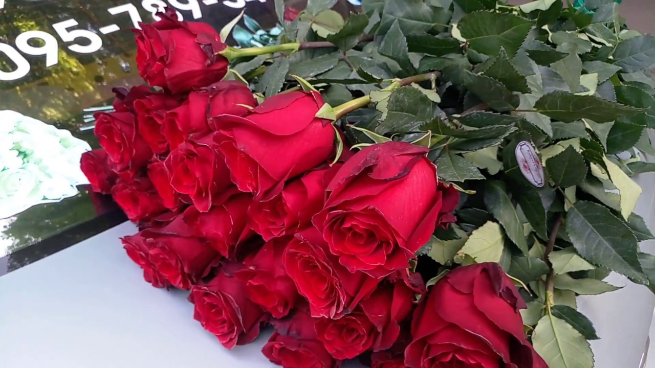 вип роза. вип розы. роза спрей грин пинк. роза вип розес. цветы в коробке иркутск.