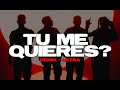 POLIMÁ WESTCOAST, EL JORDAN 23, JULIANNO SOSA feat. LUCKY BROWN - Tu Me Quieres? Remix 💔|| LETRA