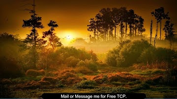 Credit Days Control || Tally Customization || TDL || Free TCP File