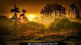 Credit Days Control || Tally Customization || TDL || Free TCP File screenshot 2