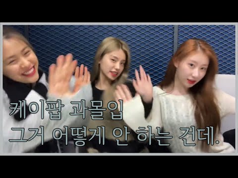 케이팝에 과몰입하는 우리애 모습..
