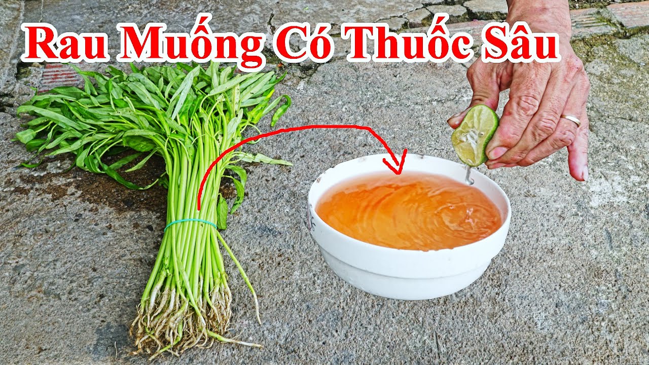 Cách Phân Biệt Rau Muống Có Thuốc Trừ Sâu Hay Không , Bạn Nên Biết ...