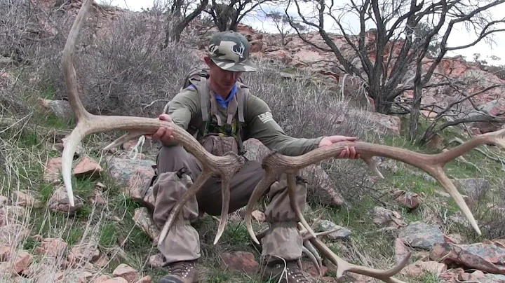 2017 Elk Browns Part 2 Brandon Pitcher