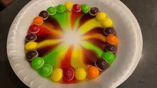 Skittles   Water Experiment