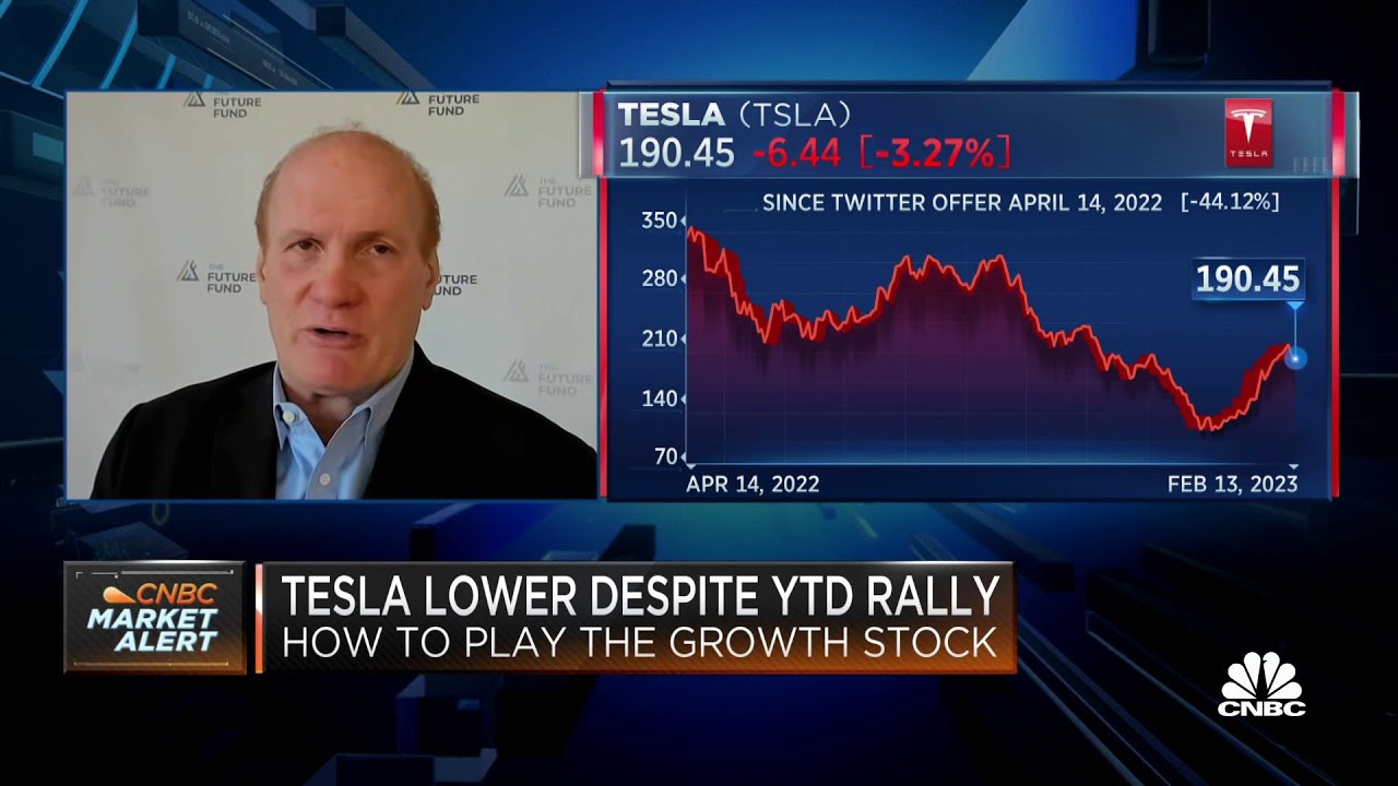 Tesla Is Still Very Cheap Says Future Fund s Gary Black YouTube