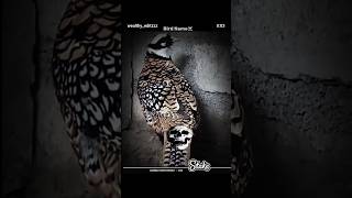 3 Youtube Hashtags This Wayuse A Brand Hashtag eg seoptimeruse A Popular Category hashtag 