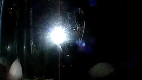 Eagle Distributors Oracle HID Kit Fish Tank Test