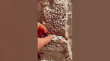 שימו איתנו פתק בכותל תגליתישראל תגלית ירושלים 