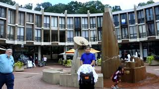 Reston Multicultural Festival !