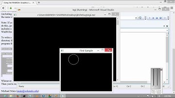BGI GRAPHIC in VISUAL STUDIO