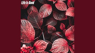 Scintillating Backdrops for Calm Tastes