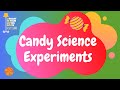 Candy Science Experiments