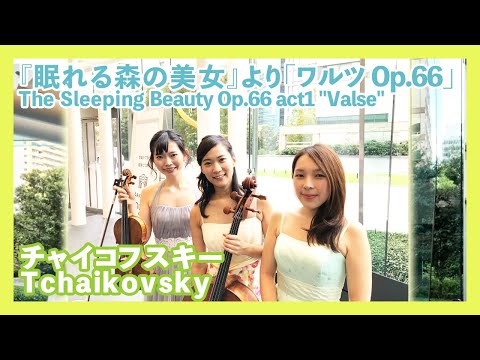 チャイコフスキー:"眠れる森の美女"よりワルツ Op.66(ヴァイオリン・チェロ・ピアノ)／Tchaikovsky:The Sleeping Beauty Op.66 act1 "Valse"