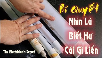 Sửa Bóng Đèn LED Tuýp Chỉ 30 Giây - Bí Mật Tiết Lộ Nhìn Là Biết HƯ CHỖ NÀO #tips usa #thnln