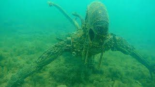 10 Most TERRIFYING Objects Found In The Deep Sea!