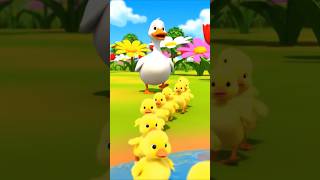 Little ducks are here to play 🐥💛Sing along and enjoy this fun rhyme 🎶