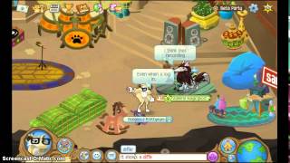 Animaljam-The Beta Days r coming back?