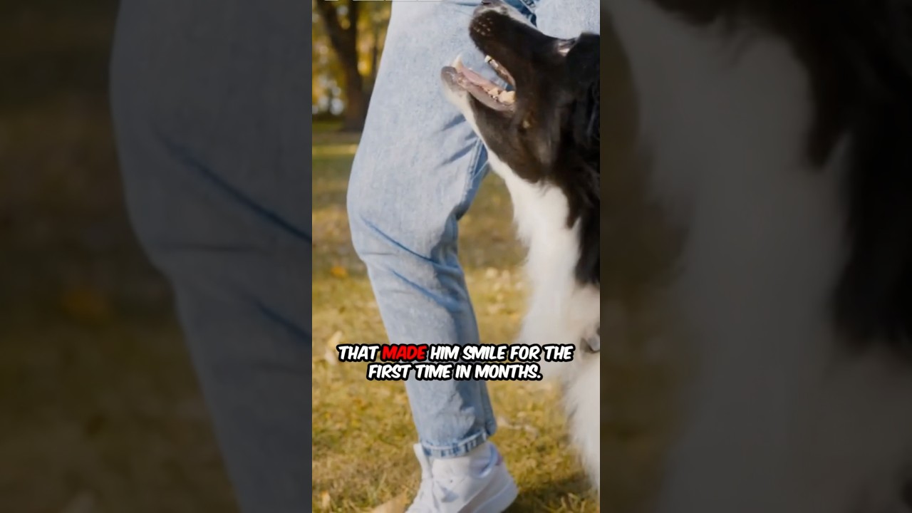 Shelter Dog Saves Veteran’s Life 🐶