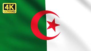 Algeria Flag Waving Animation - Algerian Flag Background 4K