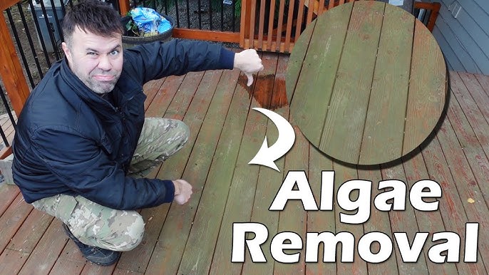 How Do You Remove Green Algae from Decking: Expert Tips