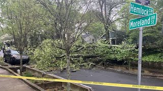 Fallen tree knocks out power, damages 3 cars in southeast Atlanta neighborhood