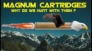 MAGNUM CARTRIDGES: Why do we hunt with them?