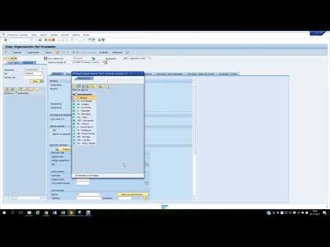 Video: ¿Cómo asigno un proveedor a una organización en SAP?