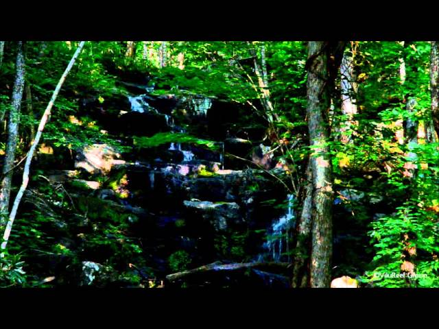 作業用BGM-静かな滝の音/Nature Sound of quiet waterfall