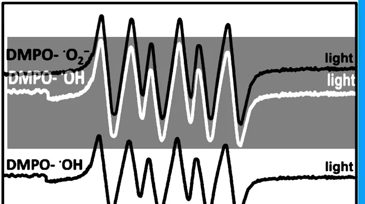 A464D8EE62D3E1747CCF788CBEE7C9#5