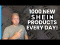 Understanding Shein's Success