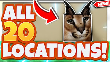 ALL *20* FLOPPA MORPH LOCATIONS In Roblox Find The Floppa Morphs!