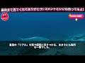 温かい光と微笑み溢れる姿は、国民に喜びと安心を届け、日本の大切な象徴です。