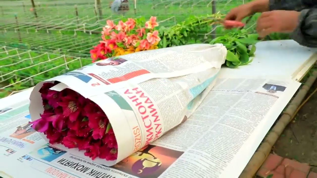 Toshloqda gullar olami: Elyor Karimovning muvaffaqiyatli yo‘li