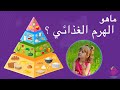 الهرم الغذائي مكونات الهرم الغذائي فوائد الغذاء 