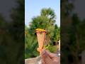 Sajnep Fun TV | Village Fun Vlog 🔥#survival #useful #ideas #smart #camping