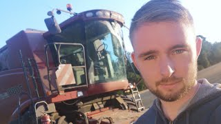🔴 LIVE HARVEST #1 - 2020