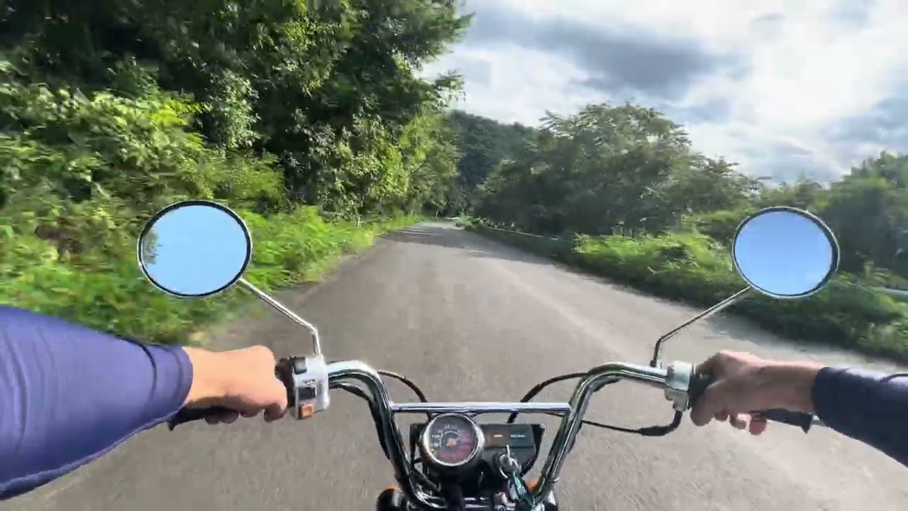 ホンダゴリラ　走行動画