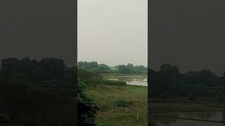 மொட்டை மாடி clicks | view from terrace| happy moments #shortsfeed