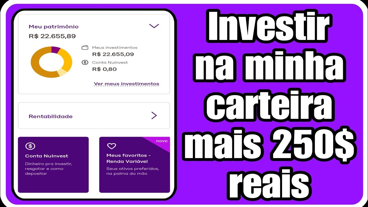 fiz-um-investimento-de-250-reais-na-minha-carteira-youtube