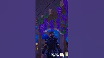 Place any item inside in Palia! #palia #fyp #cozygaming